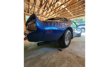 Pontiac-Firebird-trans-am-1979-Blue-Black-10