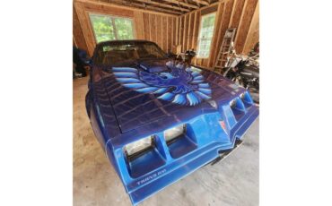 Pontiac-Firebird-trans-am-1979-Blue-Black-2