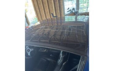 Pontiac-Firebird-trans-am-1979-Blue-Black-7