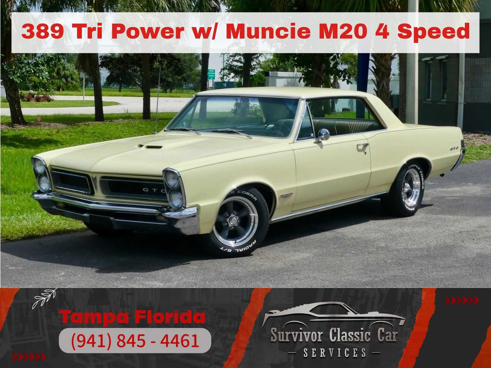 Pontiac-GTO-1965-Other