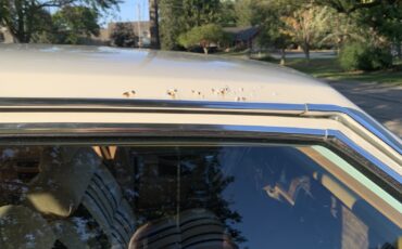 Pontiac-Grand-Safari-6.6-1978-39