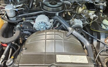 Pontiac-Grand-prix-1983-Silver-Sand-Metallic-Maroon-10