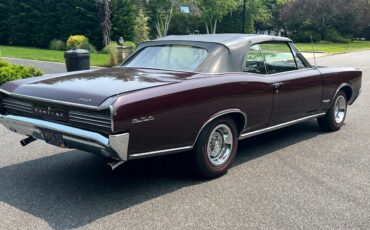Pontiac-Gto-1966-16