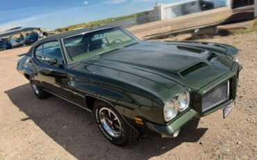 Pontiac-Gto-1971-Green-Green-4