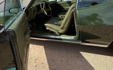 Pontiac-Gto-1971-Green-Green-5