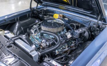 Pontiac-Le-Mans-1965-Other-13