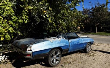 Pontiac-Le-Mans-1972-3
