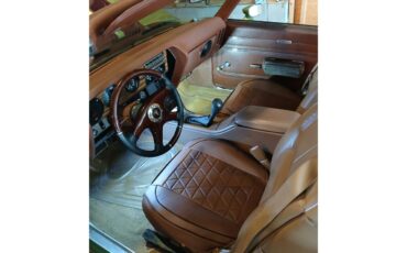 Pontiac-Lemans-1971-Greenpurple-stripes-Light-brown-10