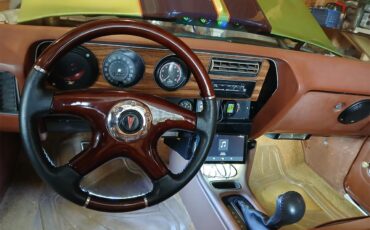 Pontiac-Lemans-1971-Greenpurple-stripes-Light-brown-11