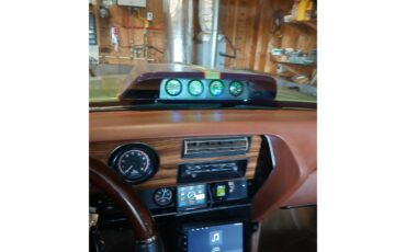 Pontiac-Lemans-1971-Greenpurple-stripes-Light-brown-12