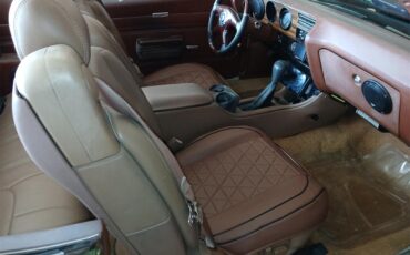 Pontiac-Lemans-1971-Greenpurple-stripes-Light-brown-13