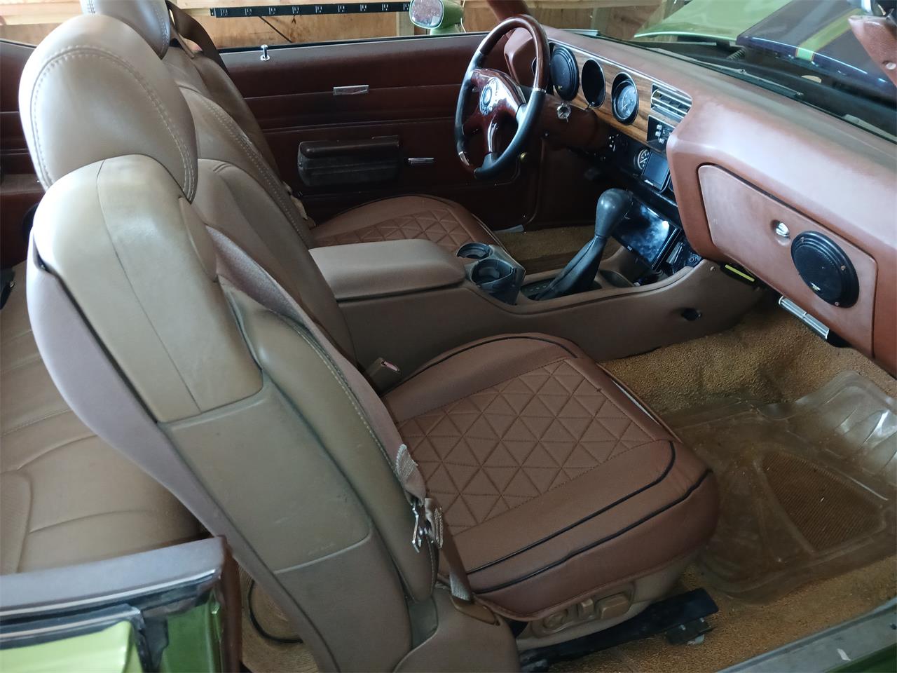 Pontiac-Lemans-1971-Greenpurple-stripes-Light-brown-13