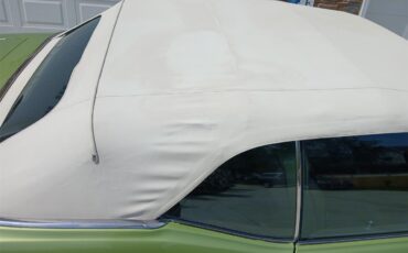 Pontiac-Lemans-1971-Greenpurple-stripes-Light-brown-14