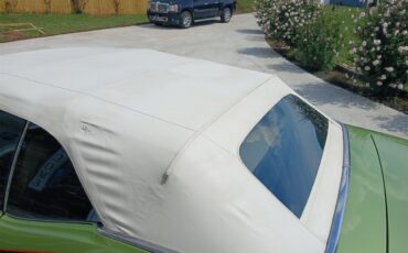 Pontiac-Lemans-1971-Greenpurple-stripes-Light-brown-15