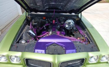 Pontiac-Lemans-1971-Greenpurple-stripes-Light-brown-16