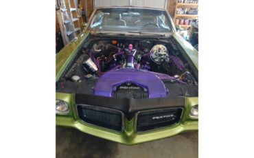 Pontiac-Lemans-1971-Greenpurple-stripes-Light-brown-2