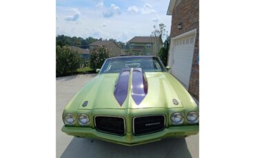 Pontiac-Lemans-1971-Greenpurple-stripes-Light-brown