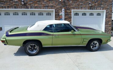 Pontiac-Lemans-1971-Greenpurple-stripes-Light-brown-5