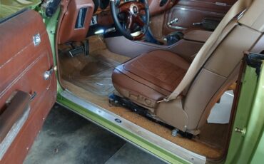 Pontiac-Lemans-1971-Greenpurple-stripes-Light-brown-7