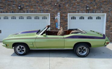 Pontiac-Lemans-1971-Greenpurple-stripes-Light-brown-8