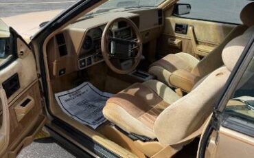 Pontiac-Sunbird-1987-Brown-11