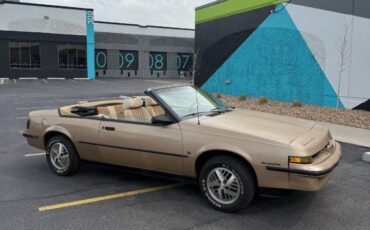 Pontiac-Sunbird-1987-Brown-2