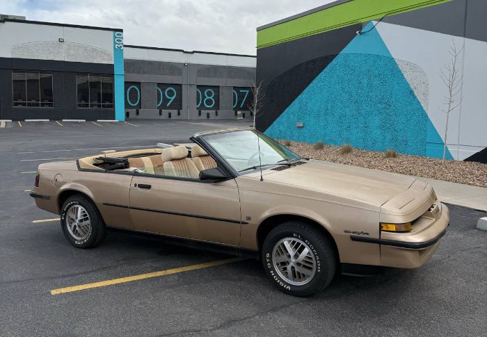Pontiac-Sunbird-1987-Brown-2