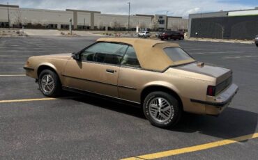 Pontiac-Sunbird-1987-Brown