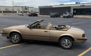 Pontiac-Sunbird-1987-Brown-5