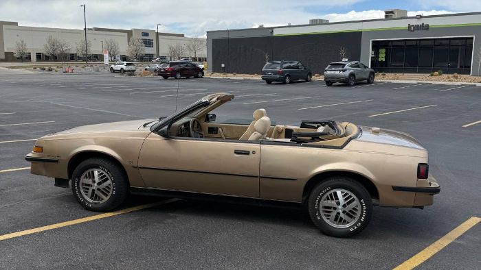 Pontiac-Sunbird-1987-Brown-5