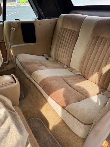 Pontiac-Sunbird-1987-Brown-9