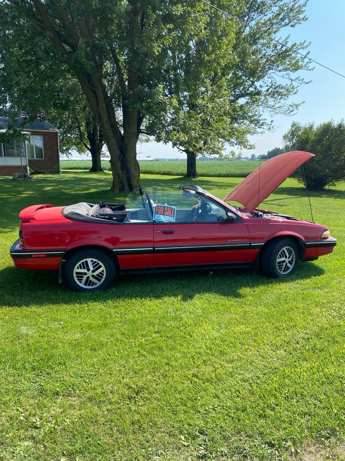 Pontiac-Sunbird-1991-1