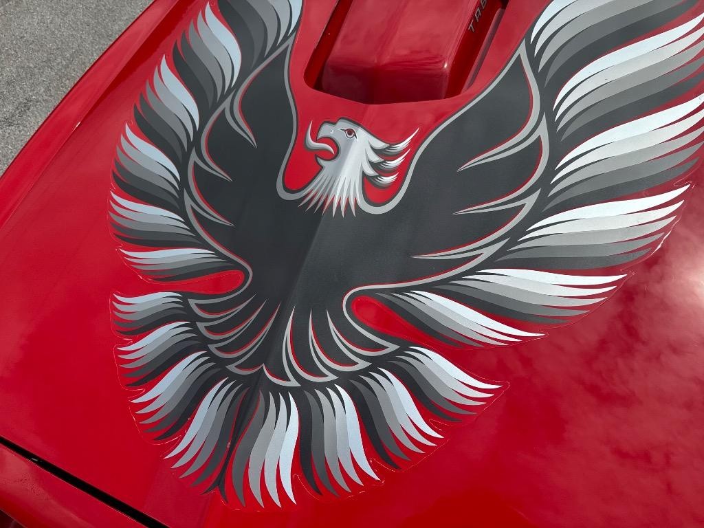 Pontiac-TRANS-AM-Built-6.0-4-link-TMI-interior-Wilwood-1979-27