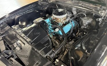 Pontiac-Trans-Am-1975-American-Muscle-Car-16