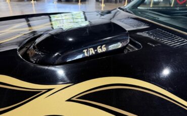 Pontiac-Trans-Am-1975-American-Muscle-Car-17