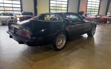 Pontiac-Trans-Am-1975-American-Muscle-Car-3