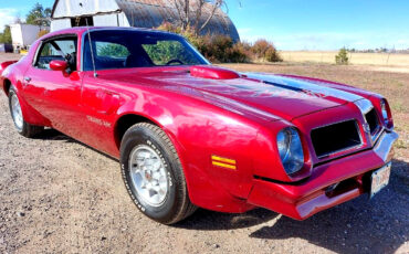 Pontiac-Trans-Am-1976-Coupe-1