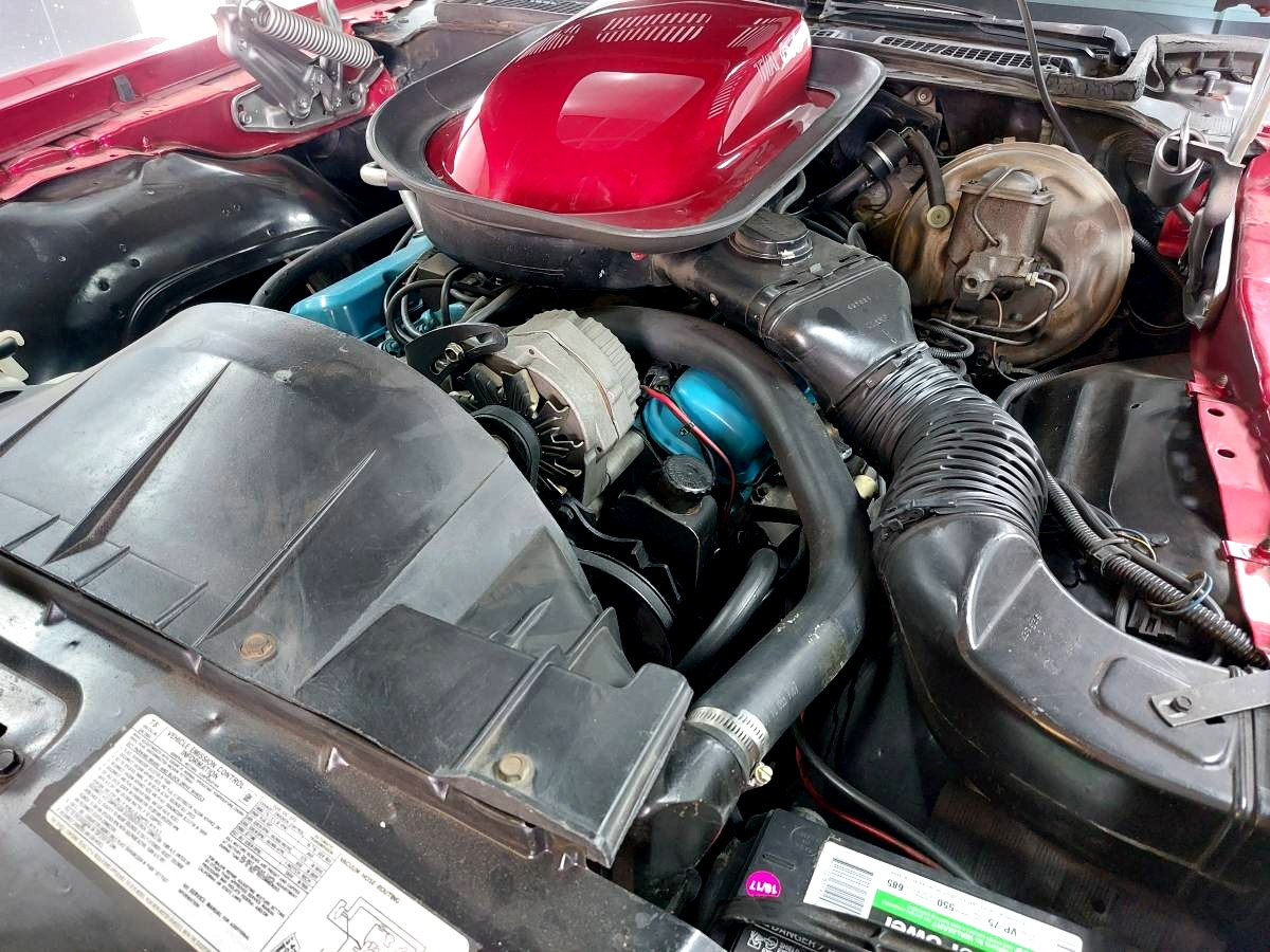 Pontiac-Trans-Am-1976-Coupe-17