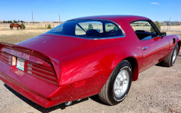 Pontiac-Trans-Am-1976-Coupe-4