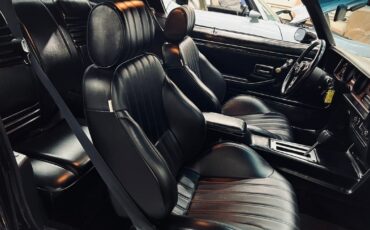 Pontiac-Trans-Am-1978-Coupe-19