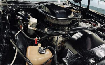 Pontiac-Trans-Am-1978-Coupe-8