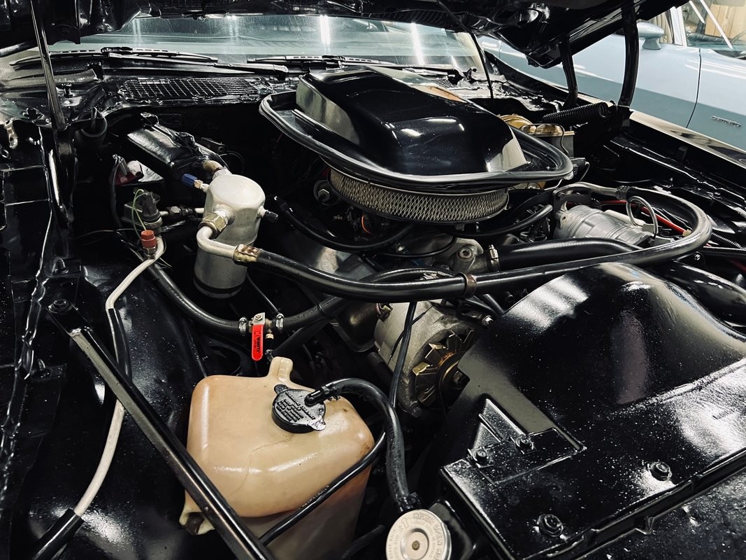Pontiac-Trans-Am-1978-Coupe-8