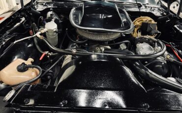 Pontiac-Trans-Am-1978-Coupe-9