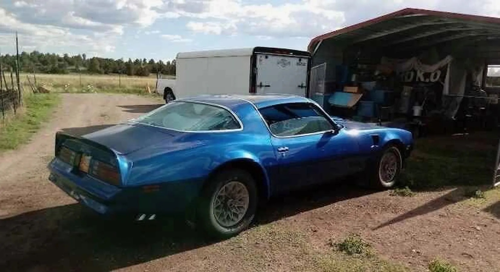 Pontiac-Trans-am-1978-Blue-Blue-1
