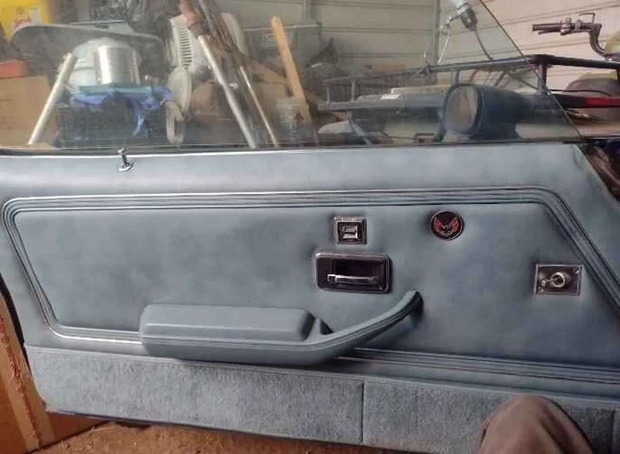 Pontiac-Trans-am-1978-Blue-Blue-4