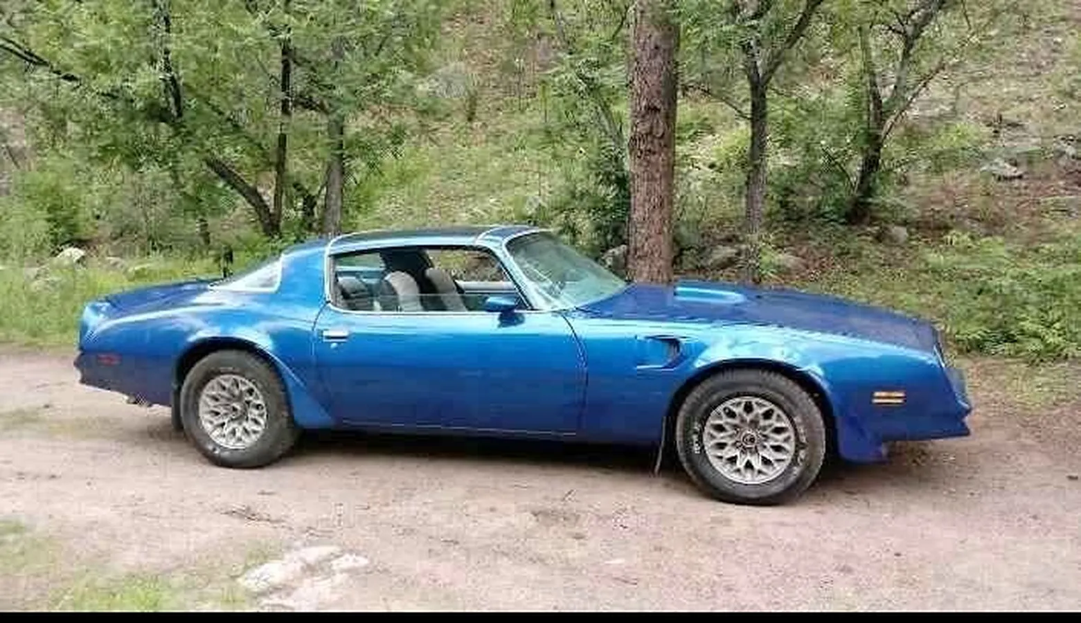 Pontiac-Trans-am-1978-Blue-Blue-6