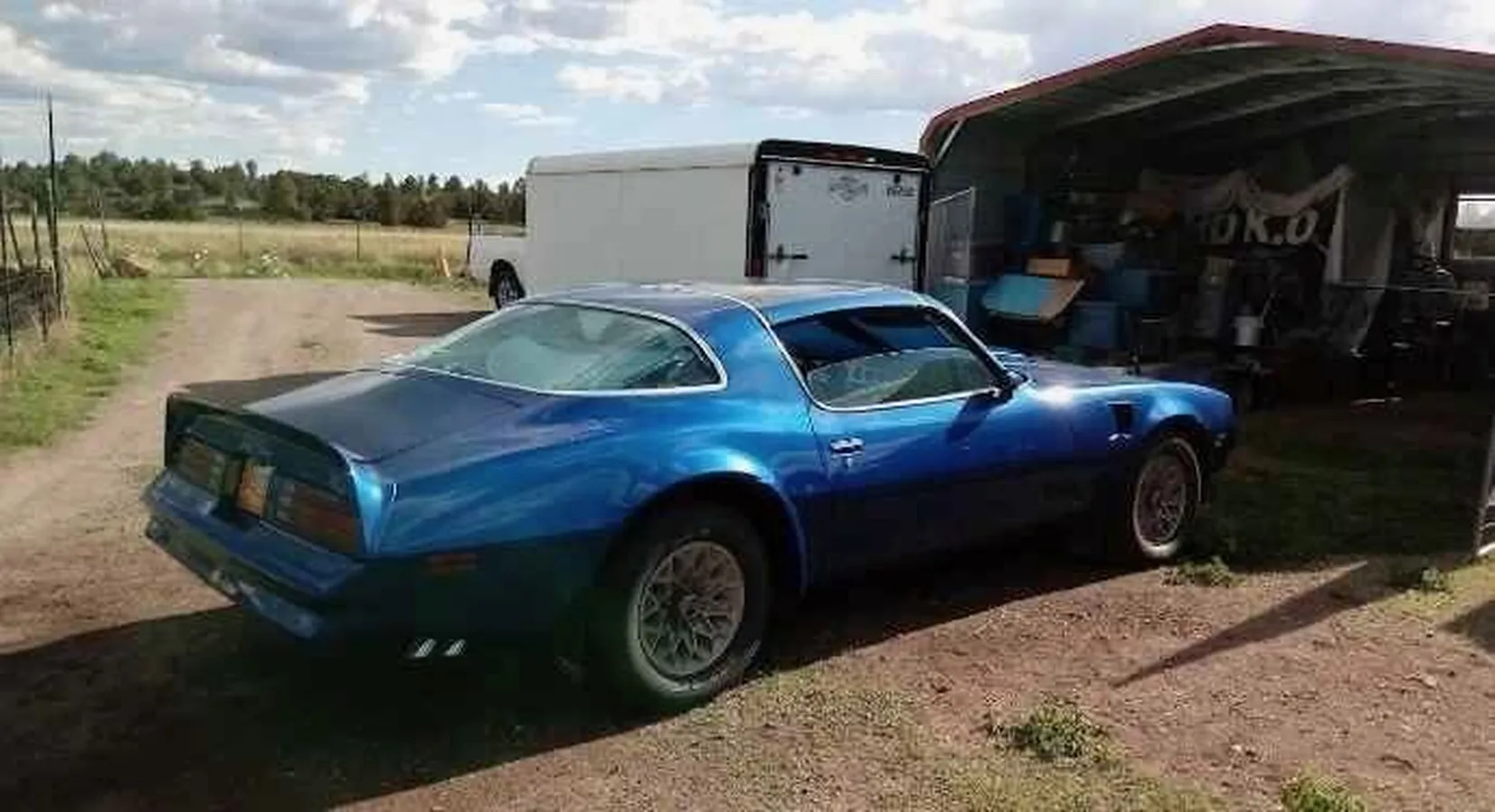 Pontiac-Trans-am-1978-Blue-Blue-8