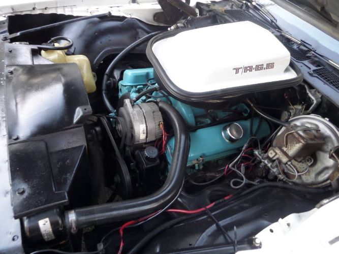 Pontiac-Trans-am-1979-20