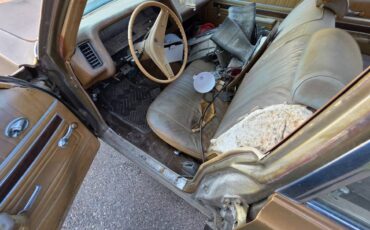 Pontiac-catalina-1970-brown-12
