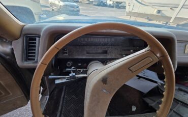 Pontiac-catalina-1970-brown-7